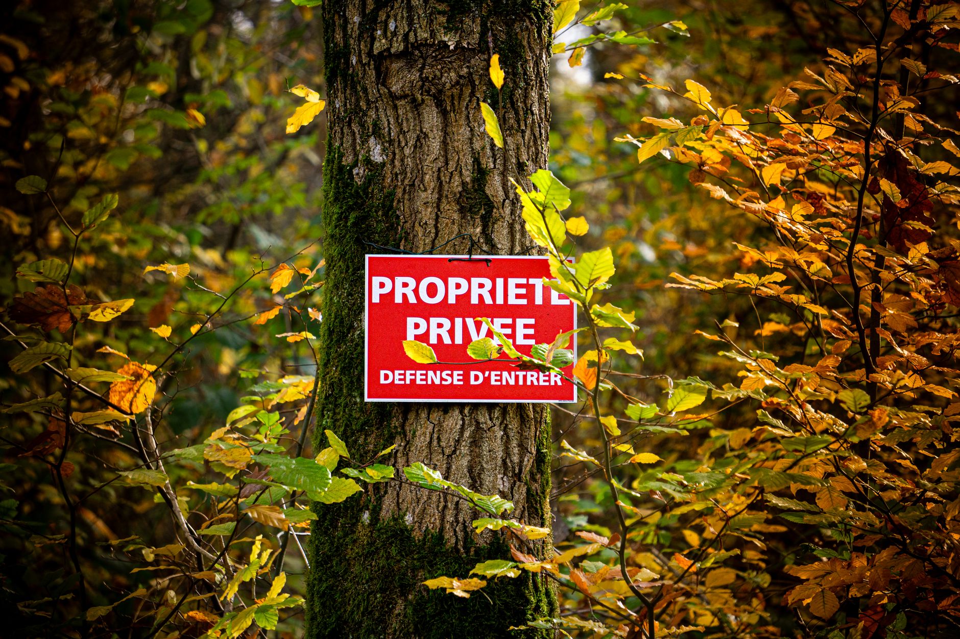 détective privé Ardennes